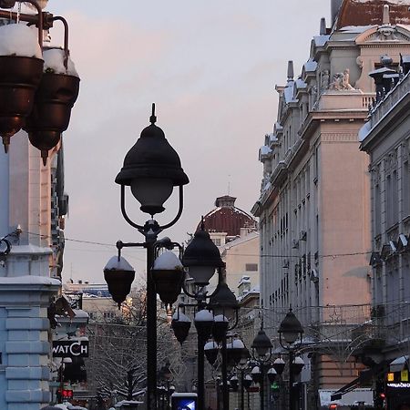 Cozy & Fully Equipped Studio In The Heart Of Downtown And Next To Kalemegdan Белград Екстериор снимка